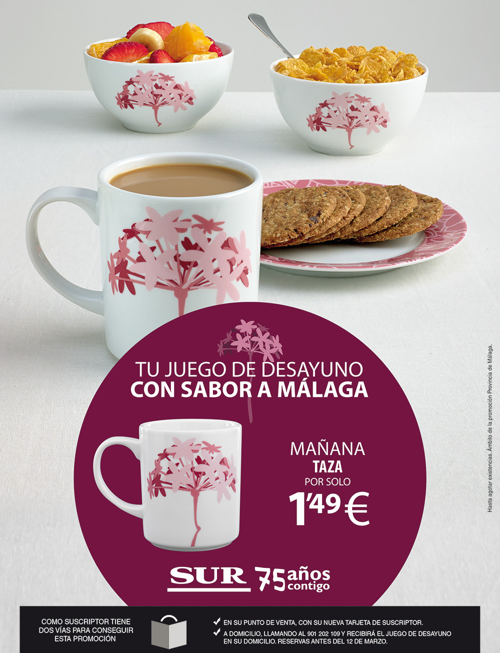 Diario SUR. Promociones
